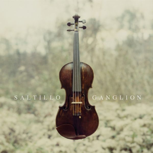 Datei:Saltillo - 2006 - Ganglion.jpg
